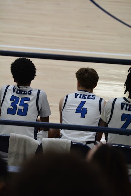 Team members planning